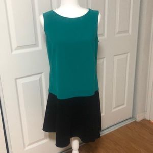 Loft Dress size 12P